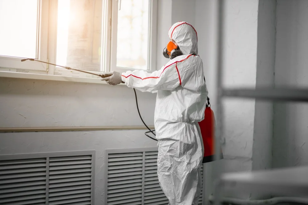 Professional mold remediation services in Crimora, VA
